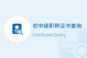初中级证书查询