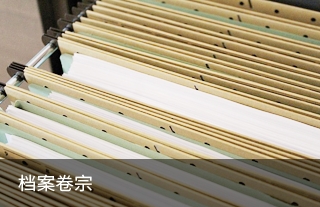 档案卷宗